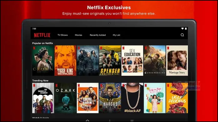 Indir​ Netflix APK