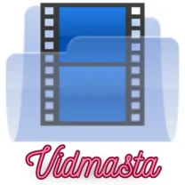 VidMasta Video İndirme Programı