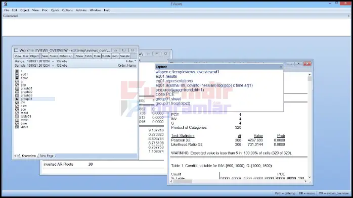 Eviews Enterprise Türkçe Edition 4 Eviews Full İndir