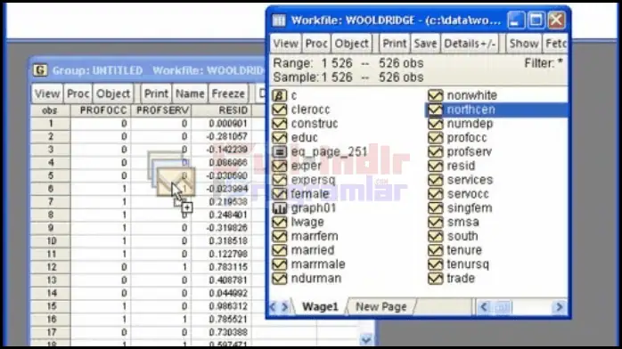 Eviews Enterprise Türkçe Edition 3 Eviews İndir Enterprise
