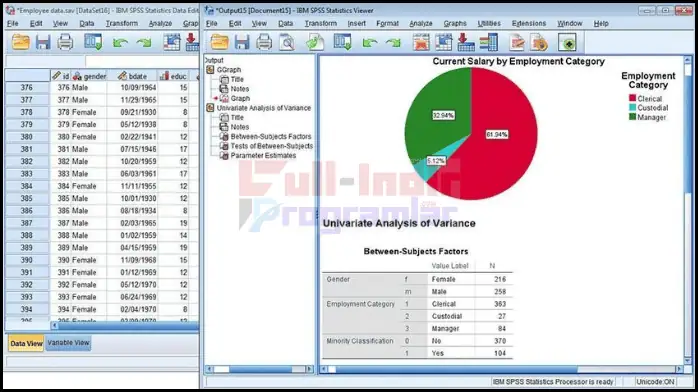 IBM SPSS Full İndir PC