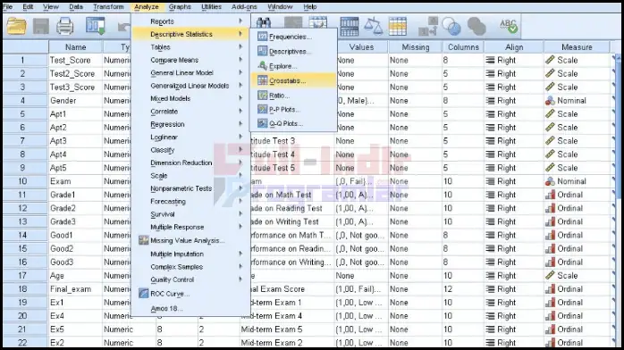IBM SPSS İndir Full PC
